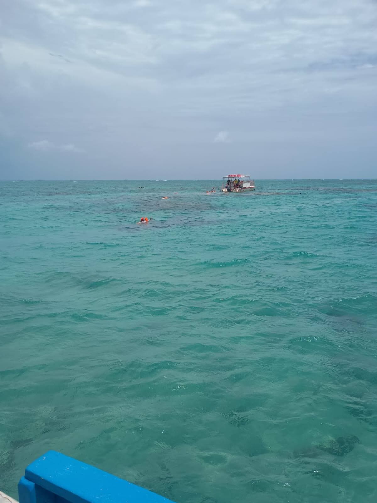Maracajaú reefs